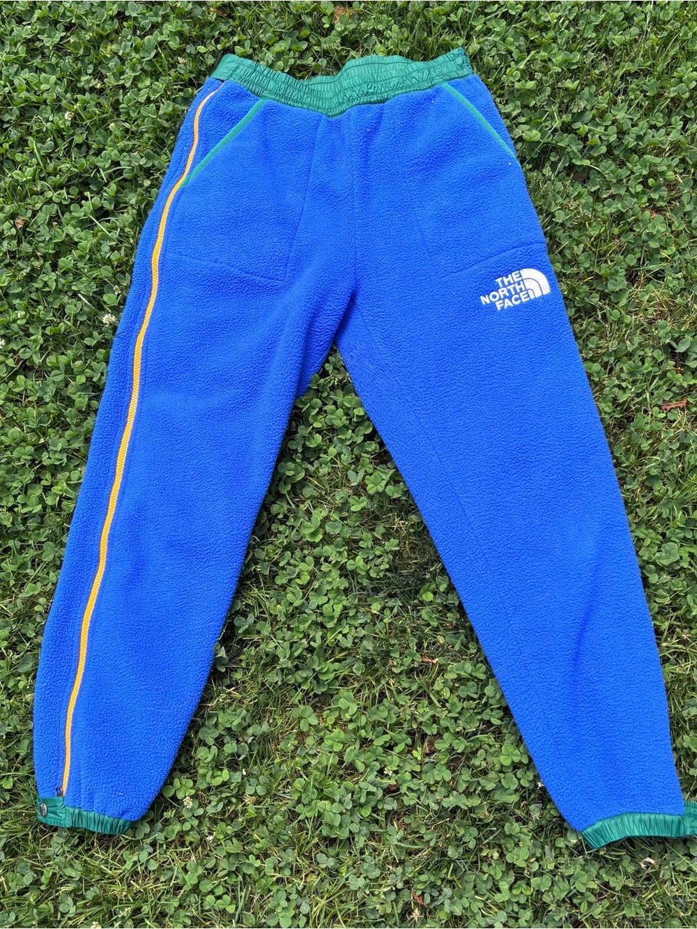 The North Face Bright Blue Fleece Joggers with Green Waistband